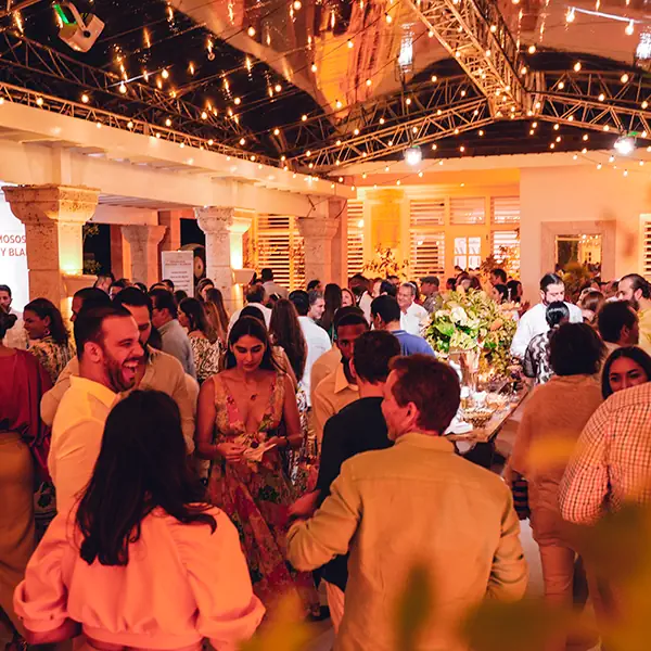 Descripción de la imagen